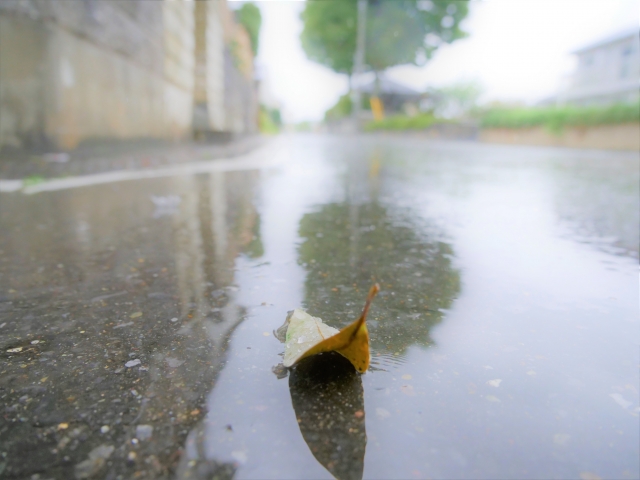 対話的な自己：いろいろな「私」とアートで出会う