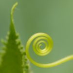 心をつなぐために「わかりあえている」という幻想を捨てる