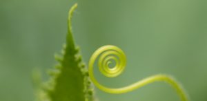 心をつなぐために「わかりあえている」という幻想を捨てる