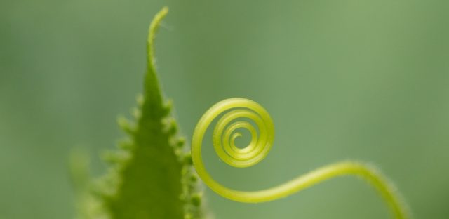 心をつなぐために「わかりあえている」という幻想を捨てる