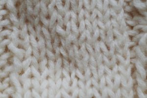 心を鎮める「儀式」・・・映画「彼らが本気で編むときは」