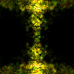 本当の自分と向き合い、変化を生み出す方法