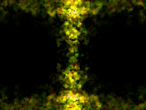 本当の自分と向き合い、変化を生み出す方法