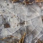 対話的自己論:自分の中のさまざまな私