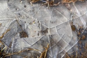 理想の自分と現実の自分：大坂なおみさんの「うつ」から考える