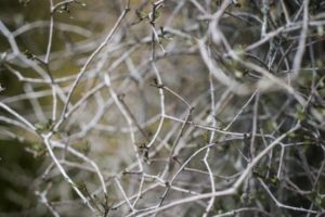 落ち込みの日に：クヨクヨする日もまた必要だと思う