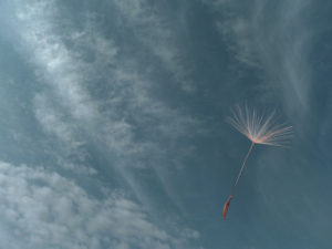 落ち込みと後悔：傷つけてしまった人への想い