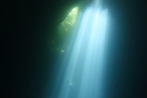 予定外の事態が、うれしい偶然を連れてくる