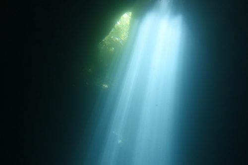 予定外の事態が、うれしい偶然を連れてくる