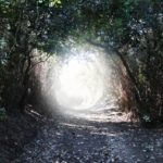 「心の便秘」を解消する方法：フォーカシング