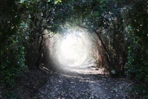 「心の便秘」を解消する方法：フォーカシング