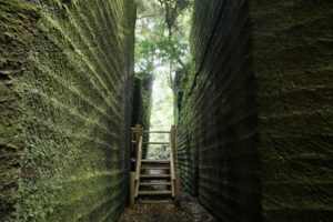 「夜と霧」：理不尽な人生でも、生きることには意味がある