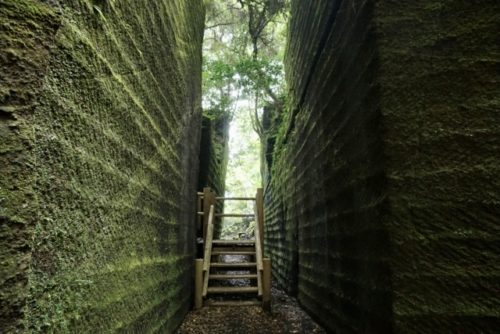 「夜と霧」：理不尽な人生でも、生きることには意味がある