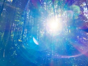 フォーカシング：私を勇気づけてくれる、心の対話