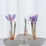 心がラクになる！カウンセリングのすすめ