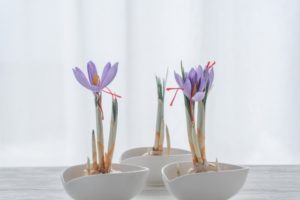 心がラクになる！カウンセリングのすすめ