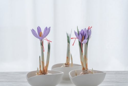 心がラクになる！カウンセリングのすすめ