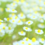 妊娠・出産の悩み：助けてくれる人は、必ずいる