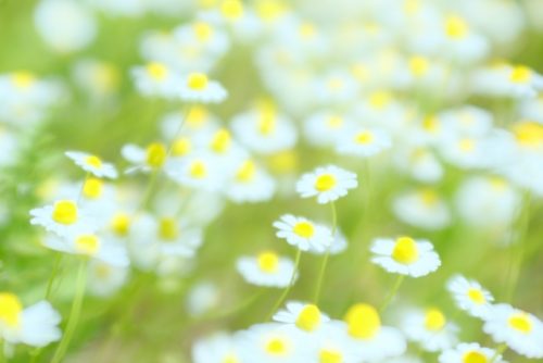 妊娠・出産の悩み：助けてくれる人は、必ずいる