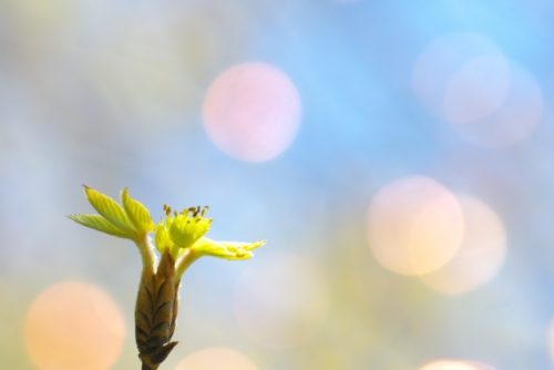 他人の評価で、自分の価値を下げるのはやめよう