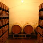 頑張りすぎているあなたへ：休むことの効用