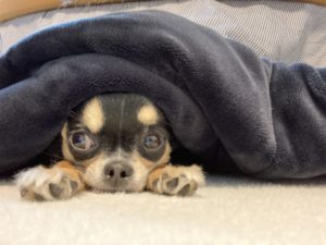 セルフ・コンパッション：自分に優しさをあげよう