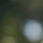 震災の日に思う：弱さを思い知り、それでも生きていく