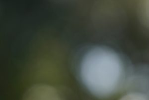 震災の日に思う：弱さを思い知り、それでも生きていく