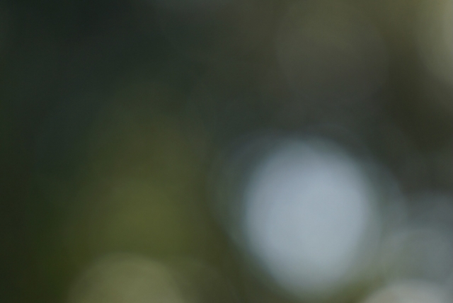 震災の日に思う：弱さを思い知り、それでも生きていく