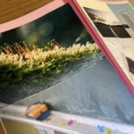 新年度、目標を深化させ明確化する：コラージュ