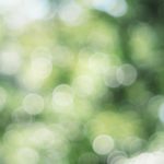 形が消えていくことで思い出が美しくなる