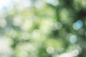 形が消えていくことで思い出が美しくなる