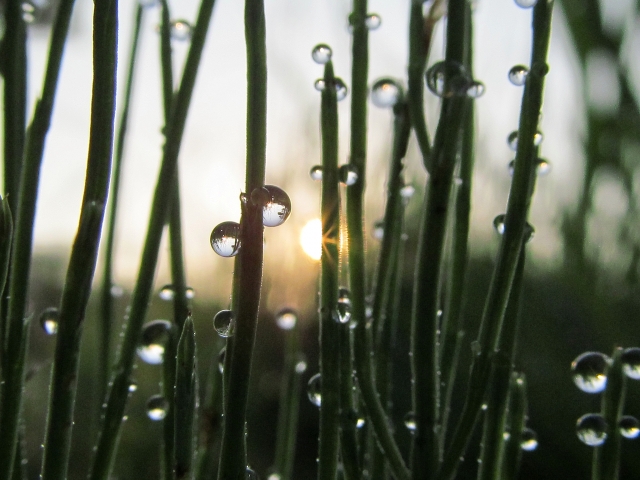 有能な人を見ると落ち込む･･･その対処法