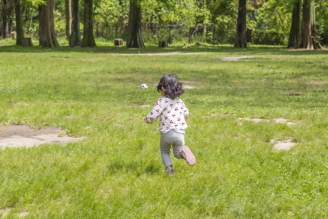 疲れた心への栄養剤、「遊びの時間」