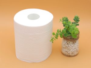 便秘！「普通に出る」って幸せだなあ