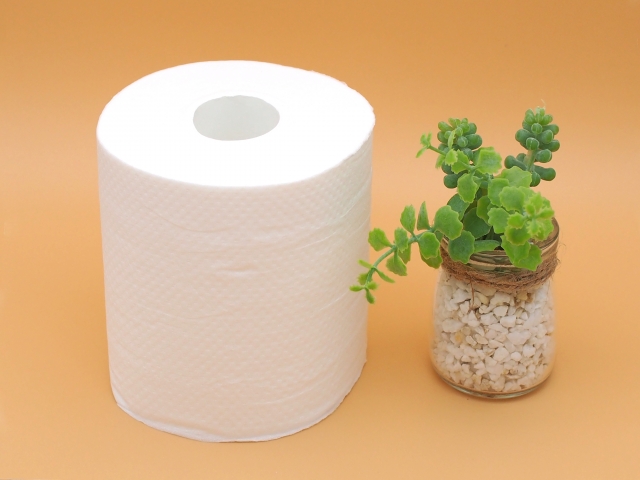 便秘！「普通に出る」って幸せだなあ