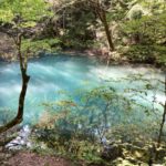 「ワクワクすること」へ向かっていこう