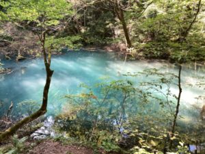 「ワクワクすること」へ向かっていこう