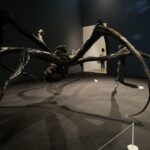 心の闇も味方に：ルイーズ・ブルジョワのアートが教える自己受容の力