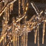 悲しみの中でこそ生まれる美しさ