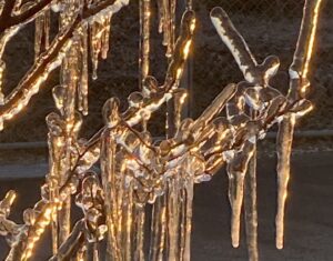 悲しみの中でこそ生まれる美しさ